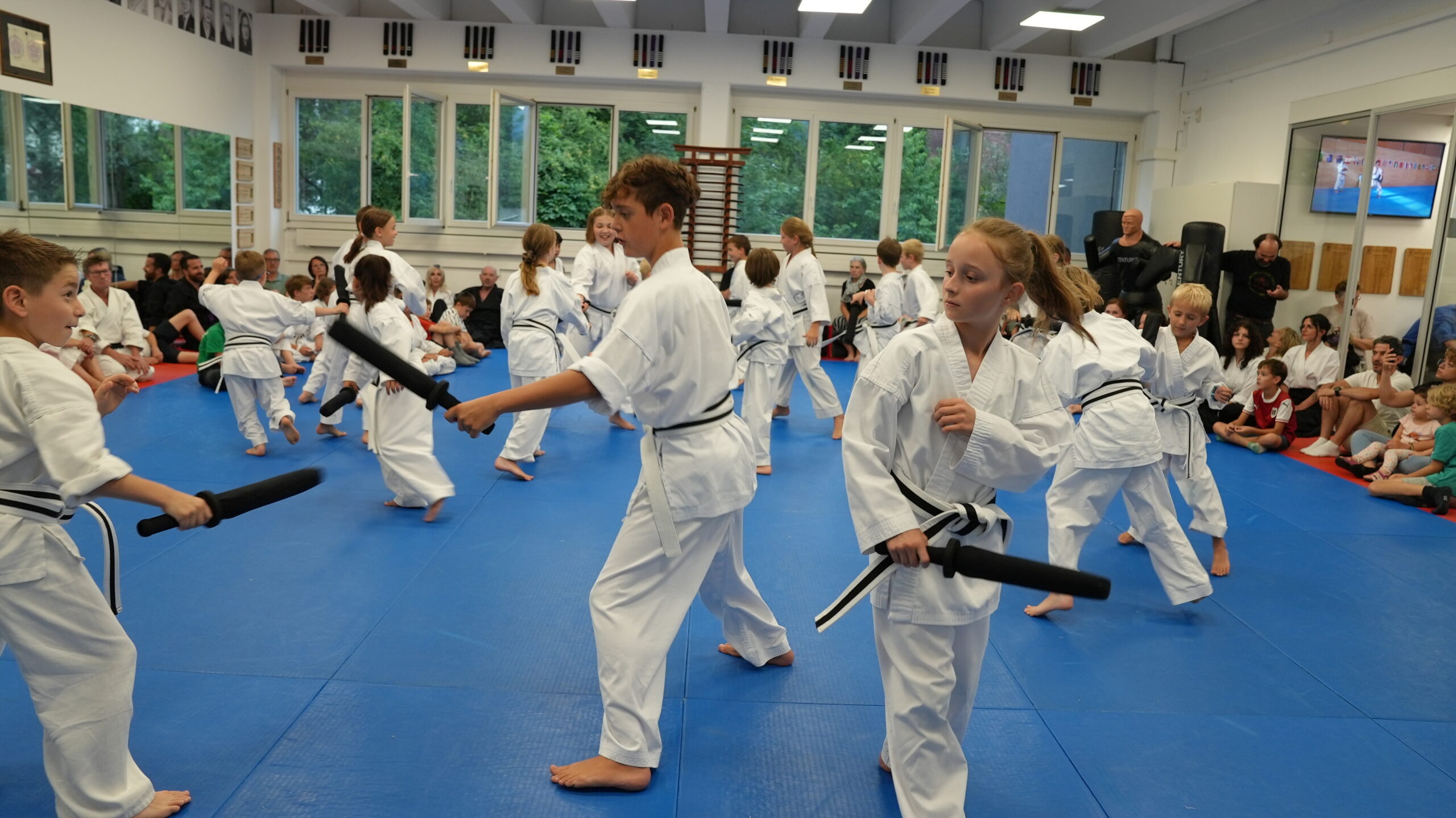 Budo7 Turnier